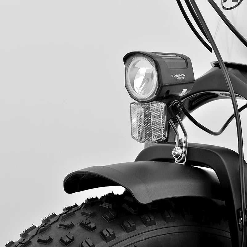 Viketory Lithor električni fatbike za svakodnevnu vožnju i izlete iz Batronika