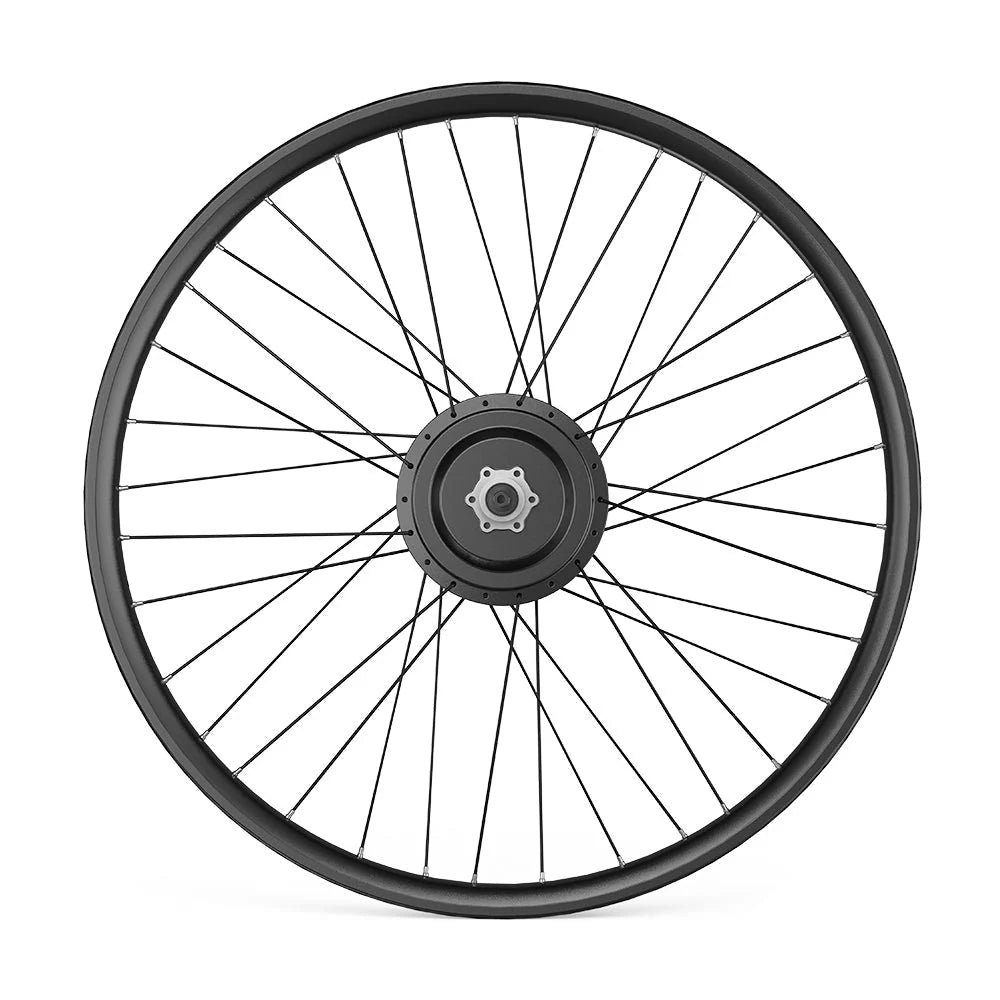 custom built ebike rear motor wheel